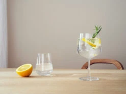 Iittala Essence Gin & Cocktailglas 4-pack -Woonwinkel 574599 01 41 EnvironmentImage 2daae4939b